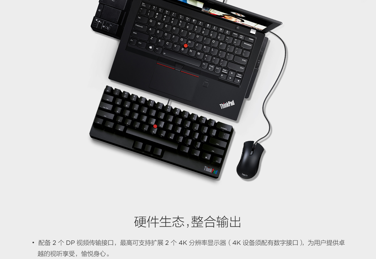 Thinkpad ThinkPad 底座扩展坞专业版（40AH0135CN）