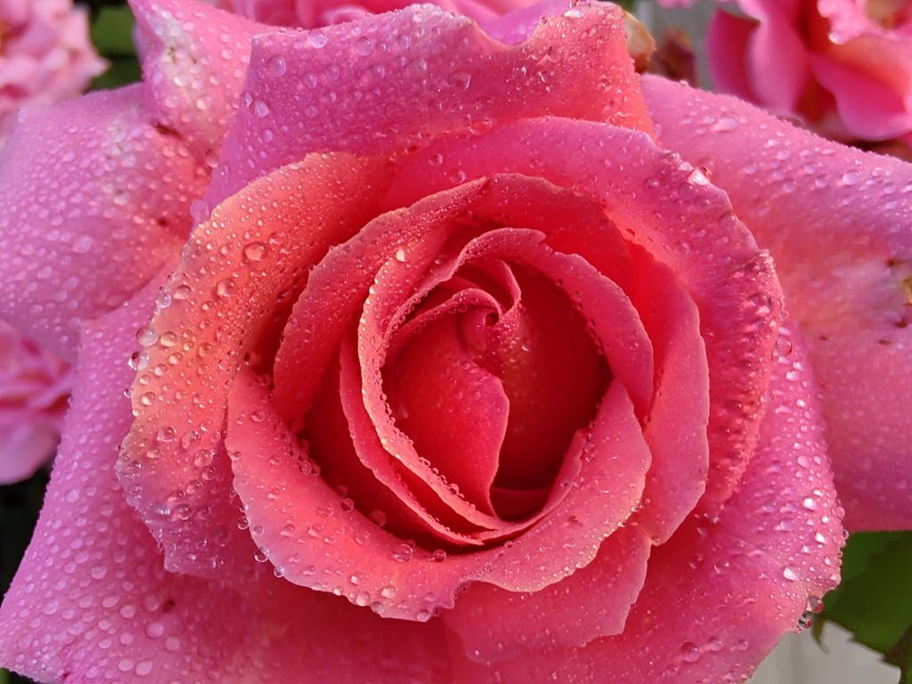 4684474
