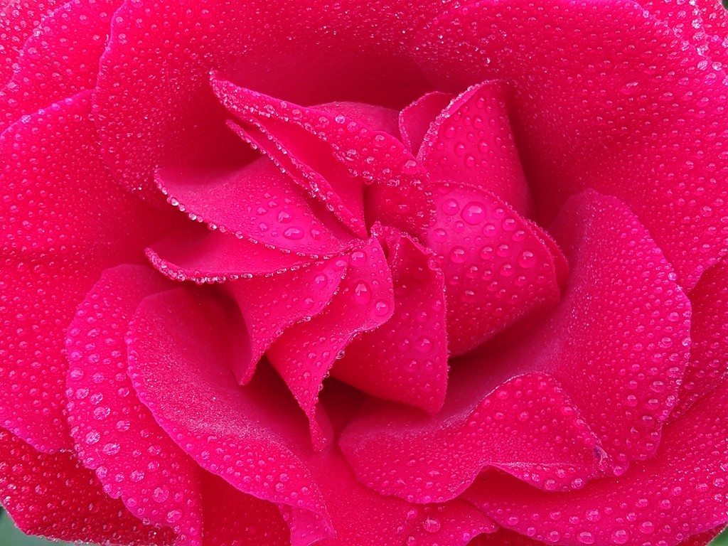 4684477