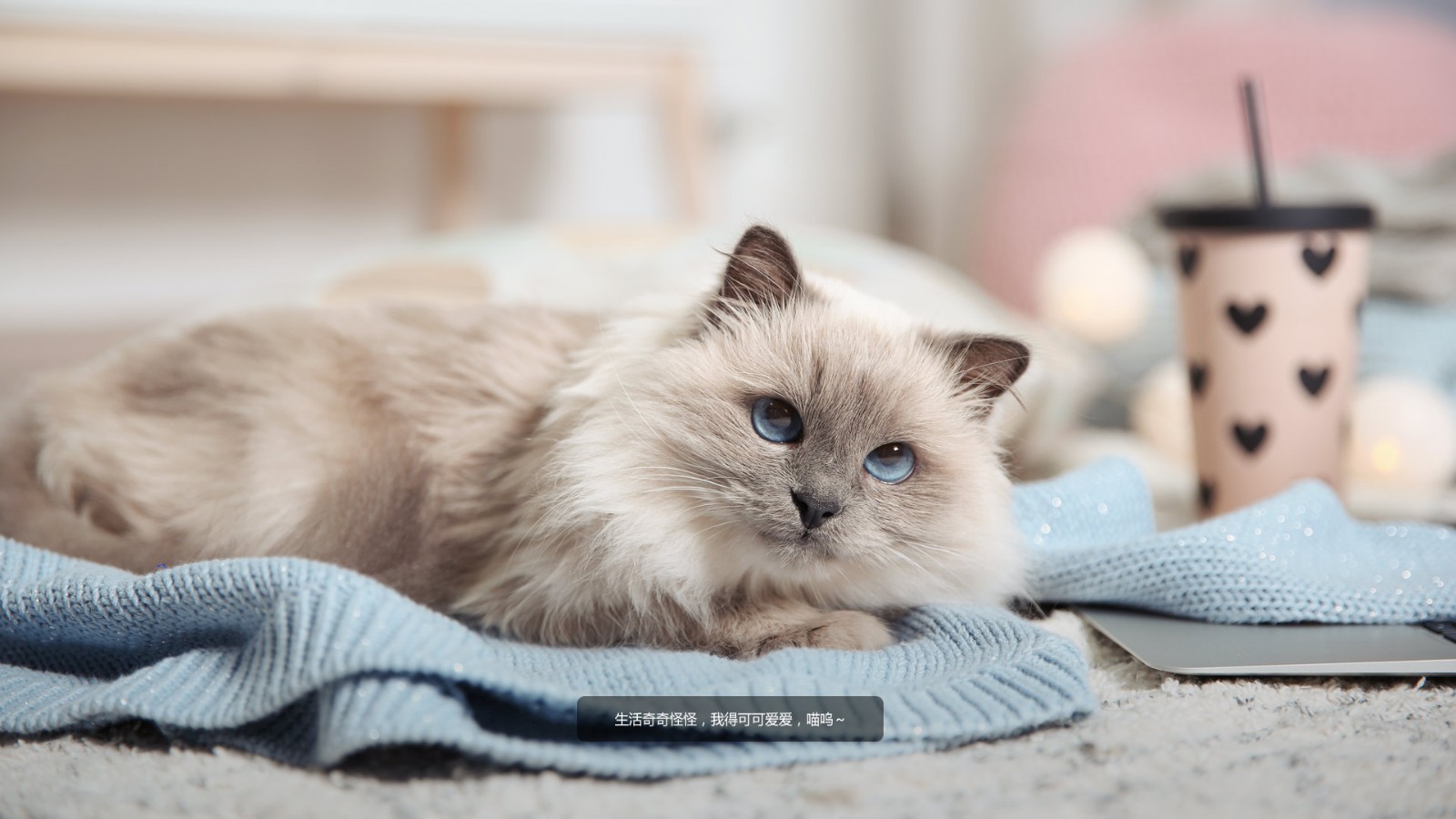 夸爆联想的随机锁屏壁纸_小新笔记本-联想社区