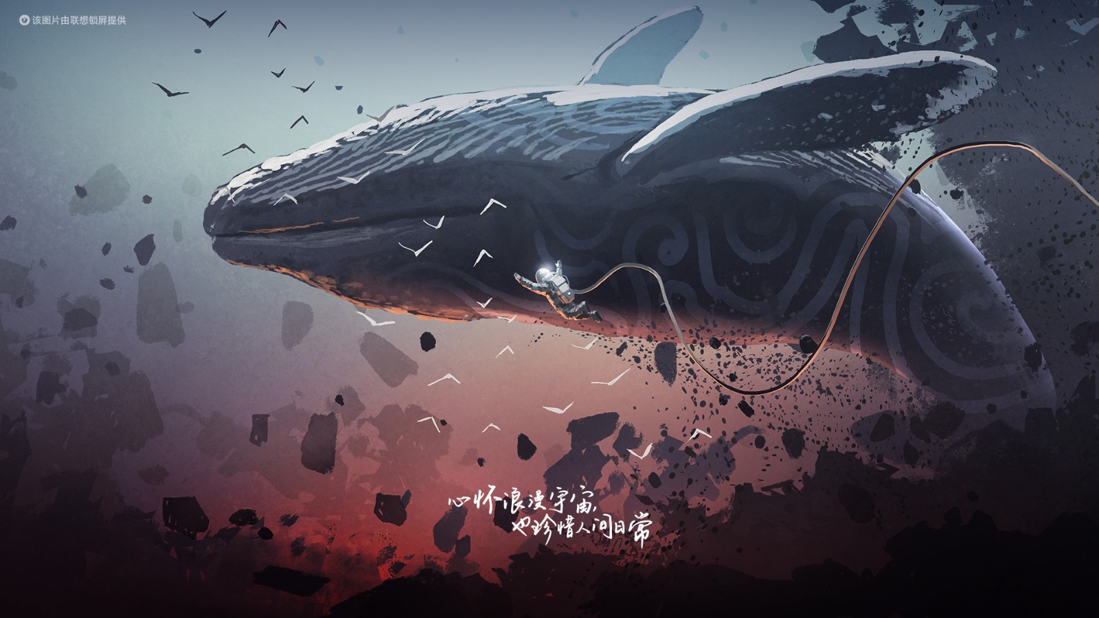 快来找属于自己的那款~_联想锁屏-联想社区