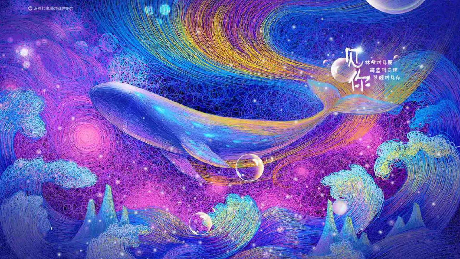 联想锁屏#今日高清壁纸#【世界海洋日】珍爱海洋,保护生物_联想锁屏