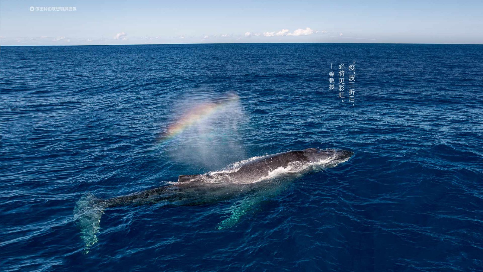 联想锁屏#今日高清壁纸#"疫"波三折后,必将见彩虹