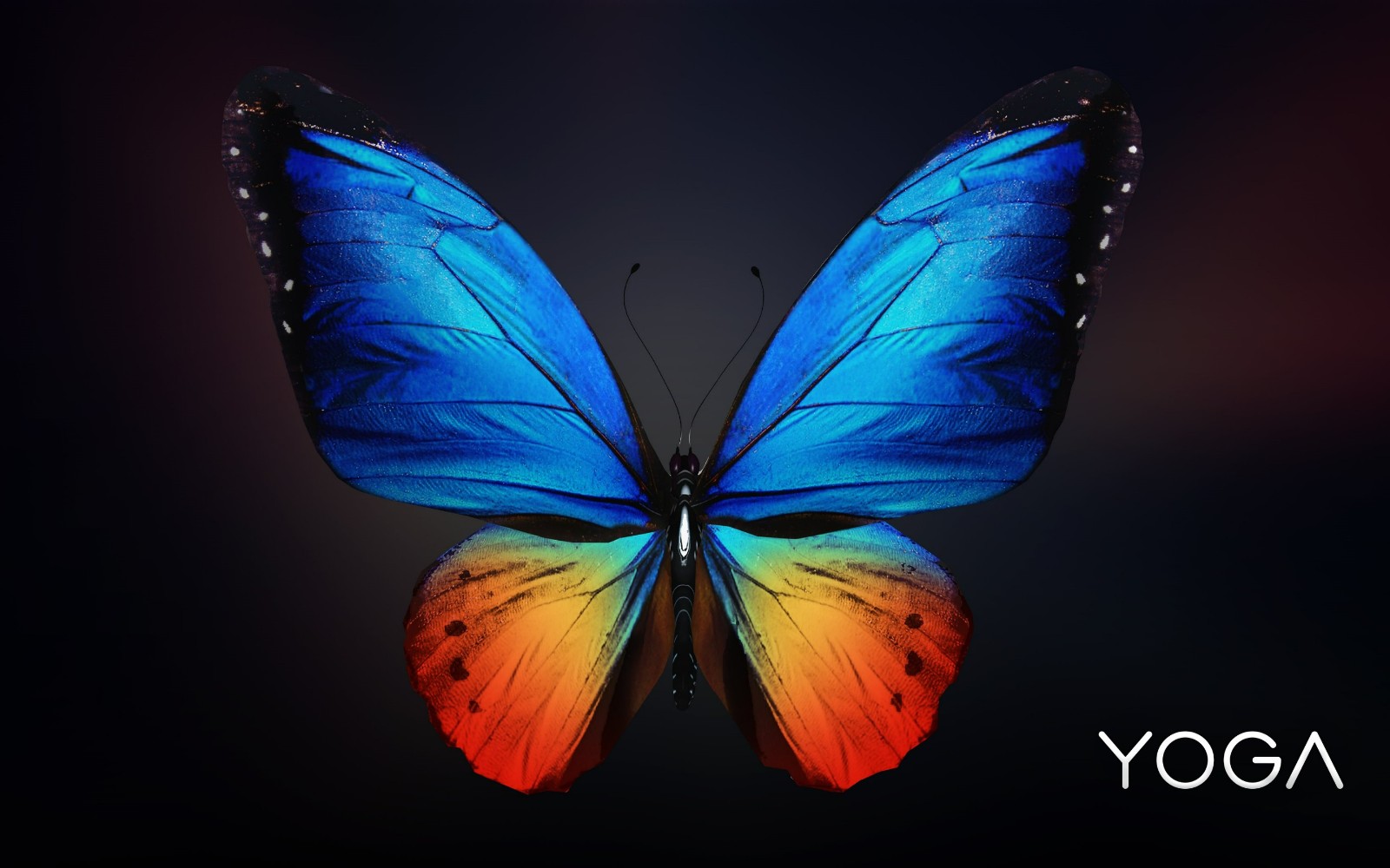 求yoga宣传界面的蝴蝶壁纸_yoga笔记本-联想社区