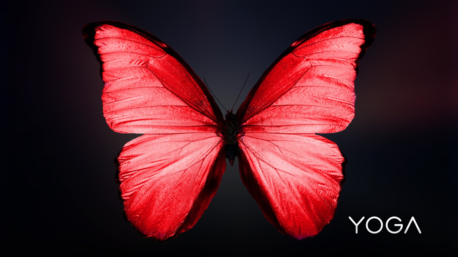 yoga早期壁纸分享_yoga笔记本-联想社区