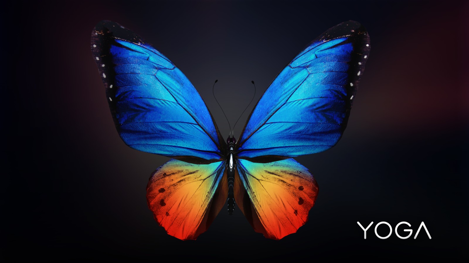 yoga早期壁纸分享_yoga笔记本-联想社区