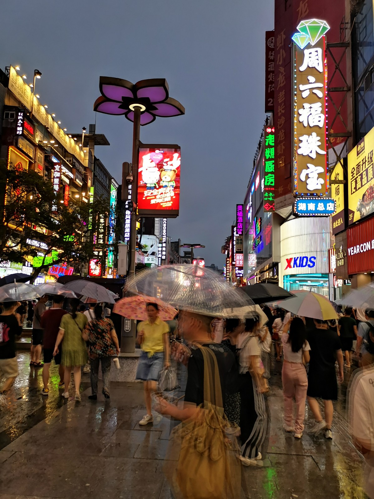 8033308