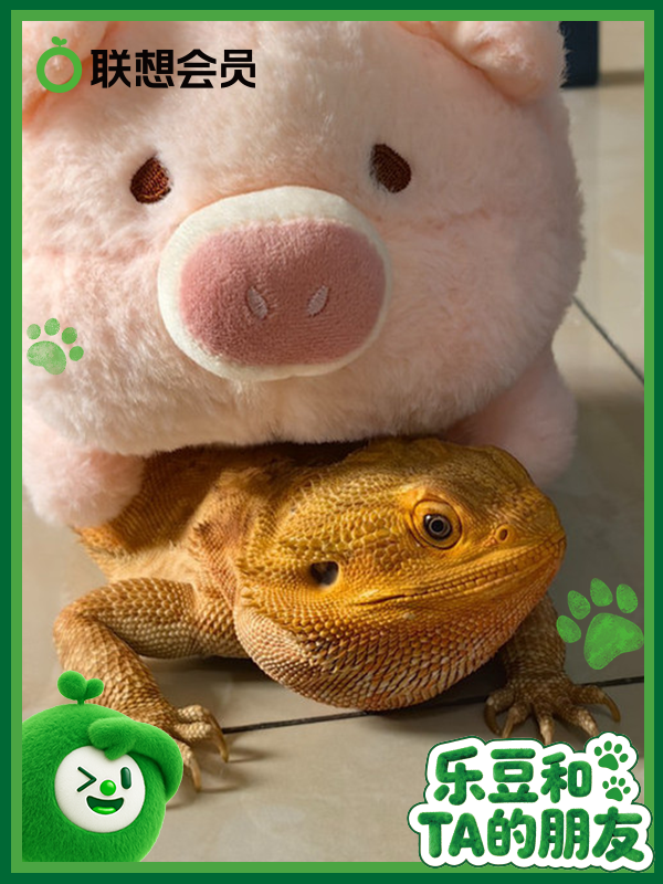 lenovo139397913-Dragon.png