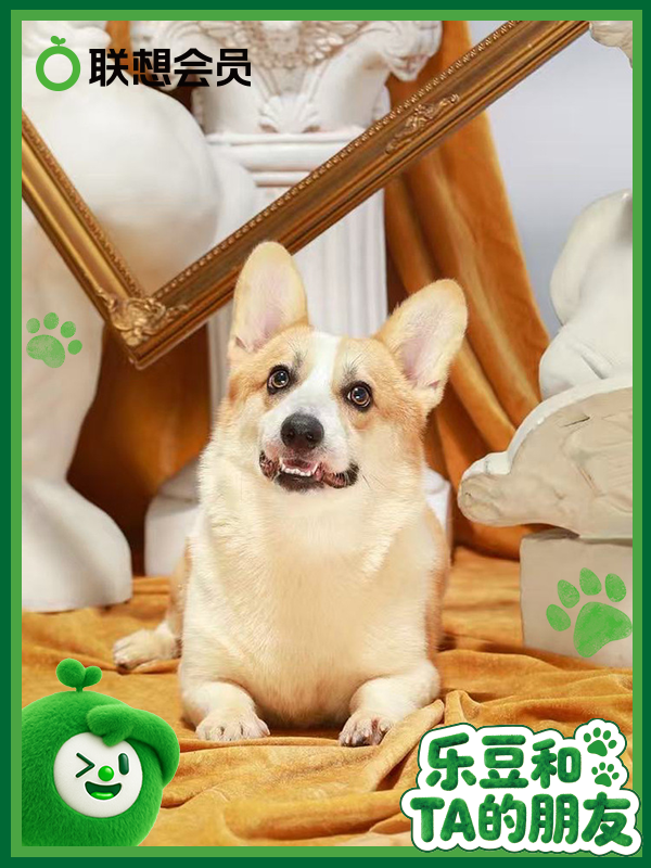 tablecheuk-北北.png