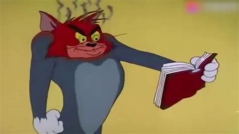 8043935