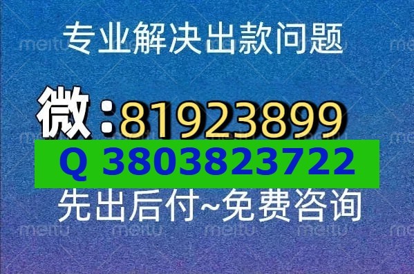 8067407