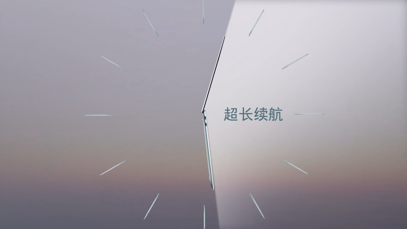 8074078