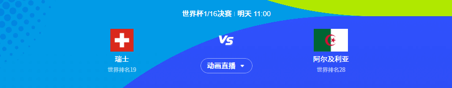8080288
