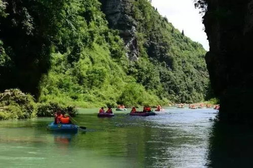 8083514